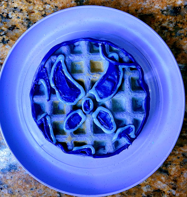 willitwafflemini instagram image archive image