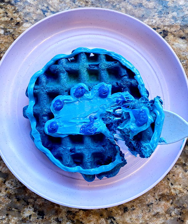 willitwafflemini instagram image archive image