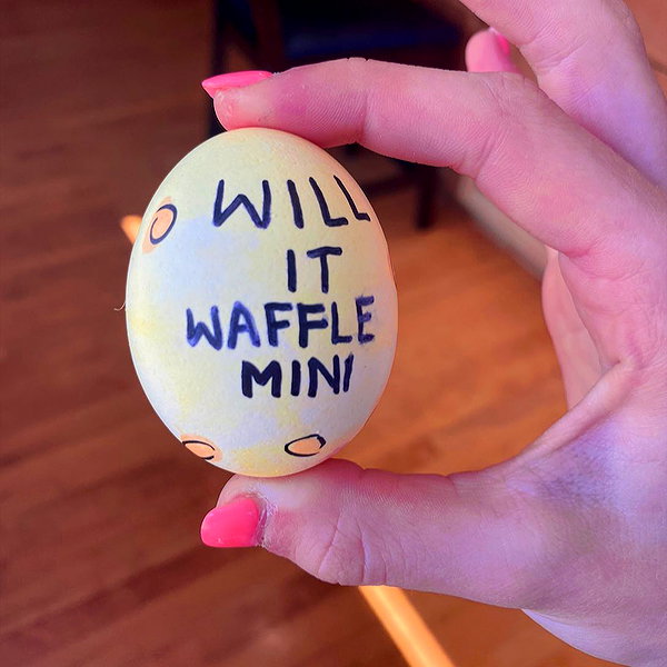 willitwafflemini instagram image archive image