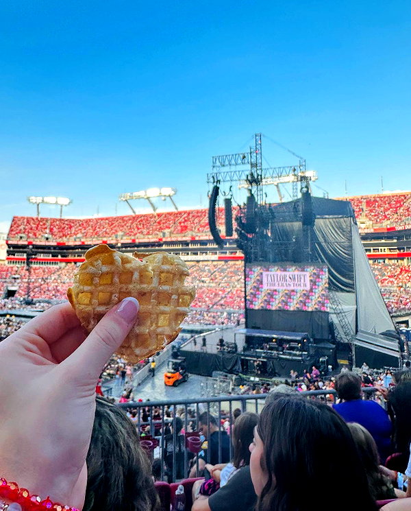 willitwafflemini instagram image archive image