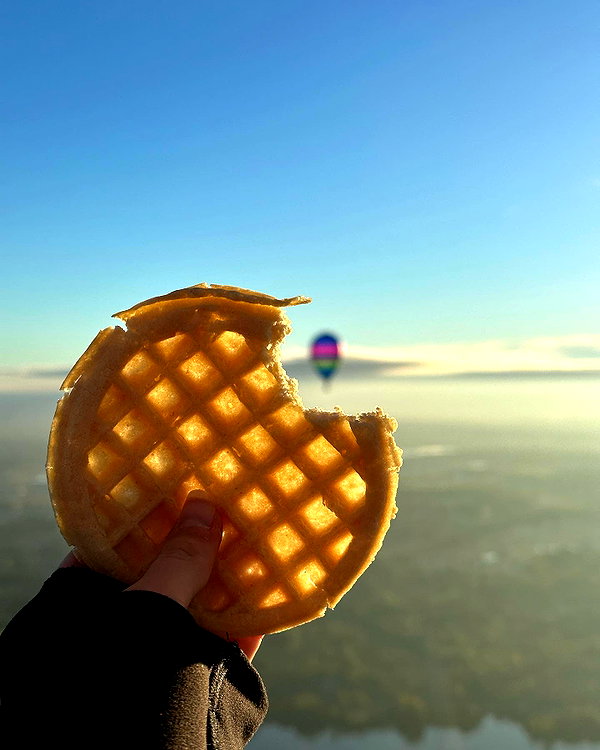 willitwafflemini instagram image archive image