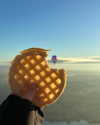 willitwafflemini Altpins Profile Picture
