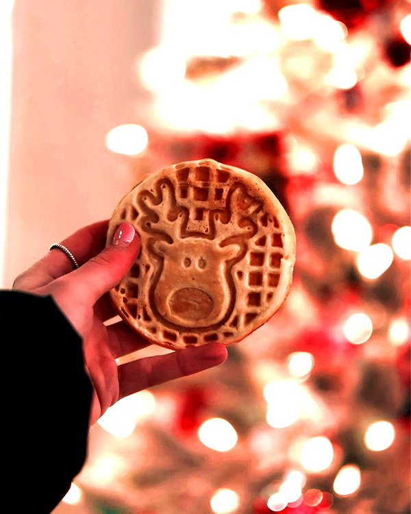 willitwafflemini instagram image archive image