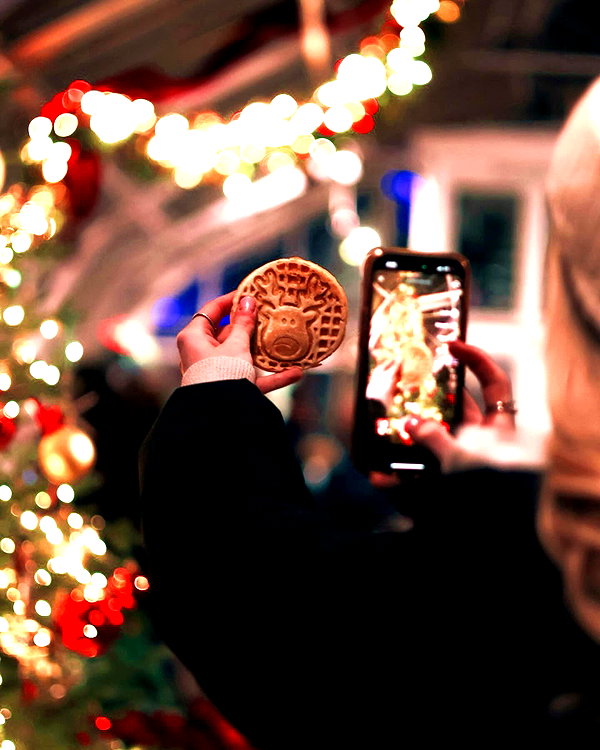 willitwafflemini instagram image archive image