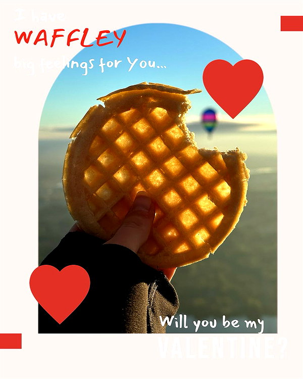 willitwafflemini instagram image archive image
