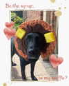 willitwafflemini Altpins Profile Picture
