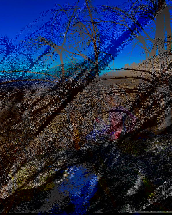 winbun.io winbun.io archive image