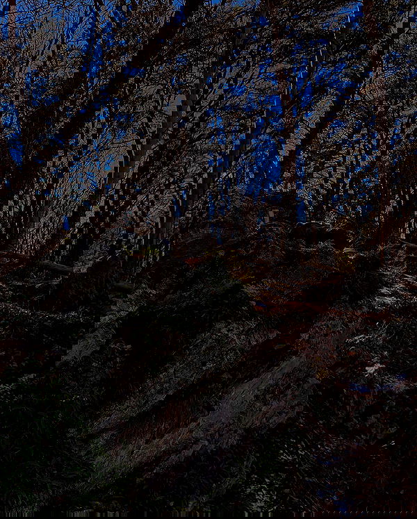 winbun.io winbun.io archive image