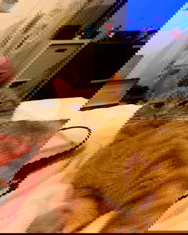 winbun.io winbun.io archive image