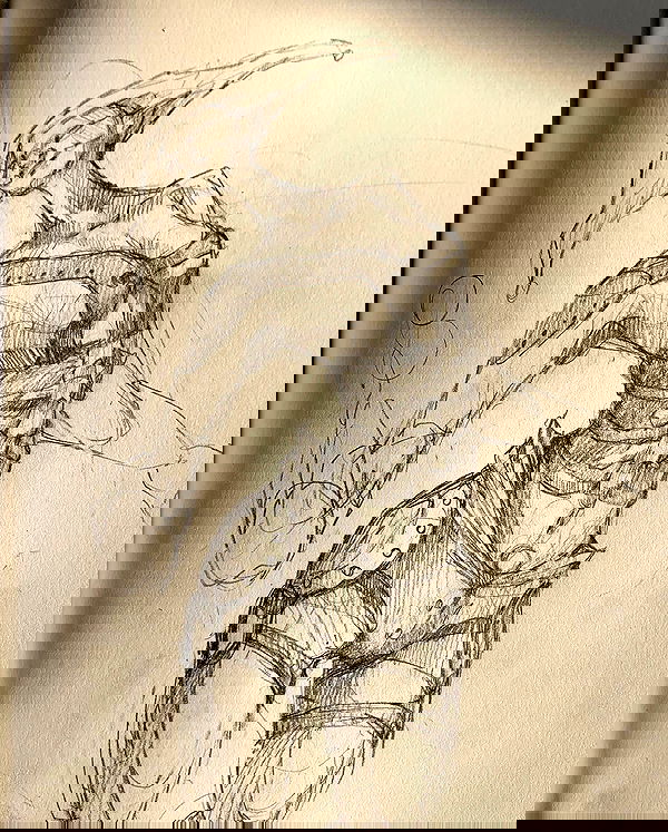 winbun.io winbun.io archive image