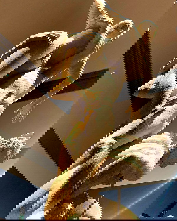 winbun.io winbun.io archive image