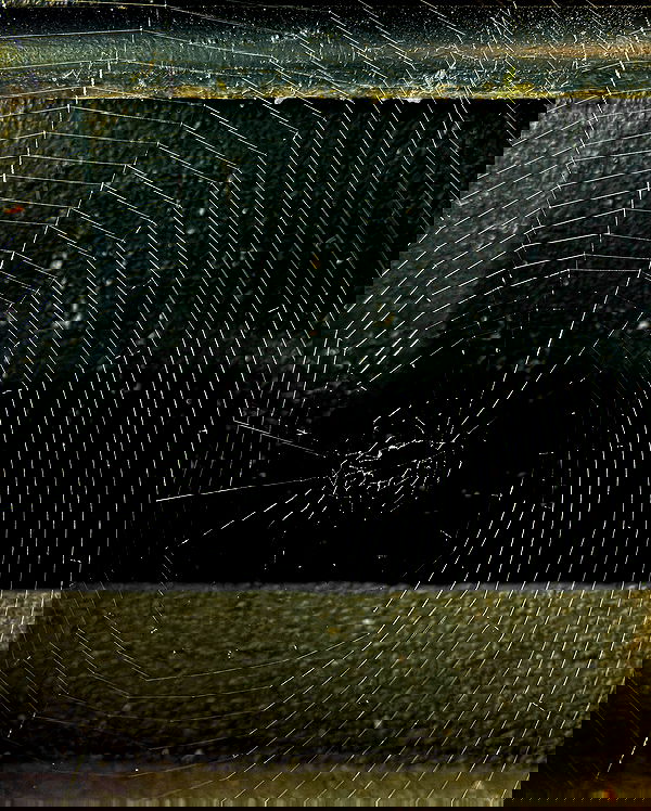 winbun.io winbun.io archive image