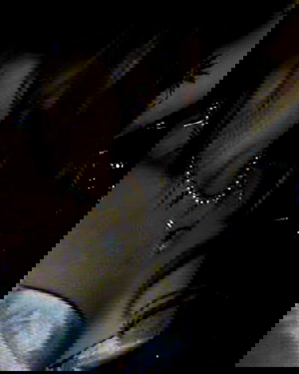 winbun.io winbun.io archive image