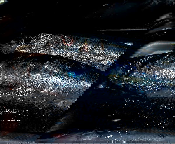 winbun.io winbun.io archive image