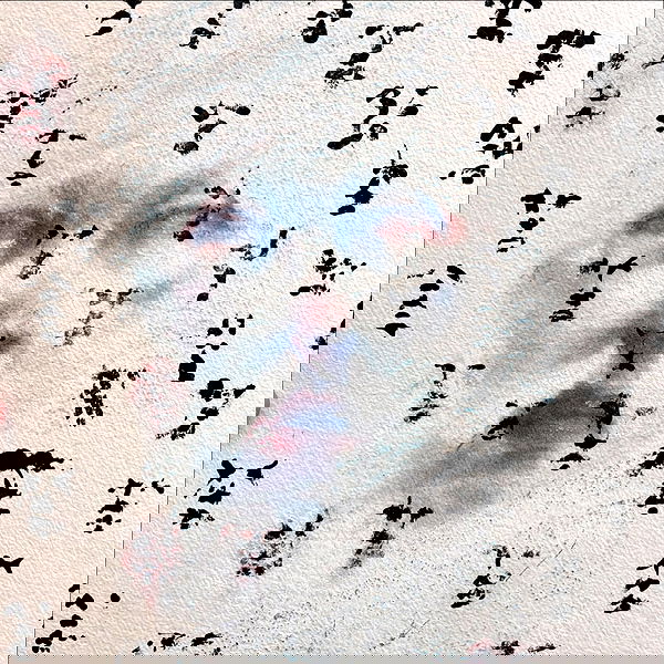 winbun.io winbun.io archive image