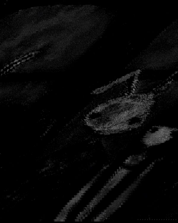 winbun.io winbun.io archive image