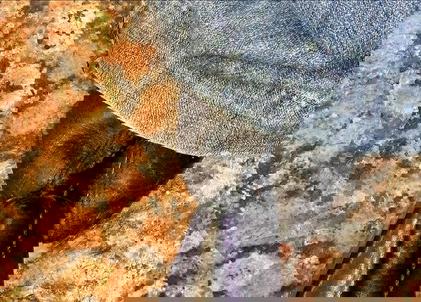 winbun.io winbun.io archive image