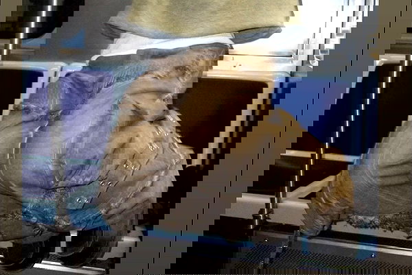 winbun.io winbun.io archive image