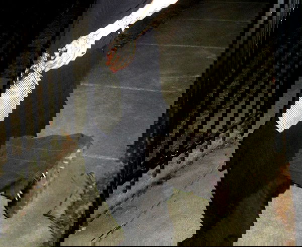 winbun.io winbun.io archive image