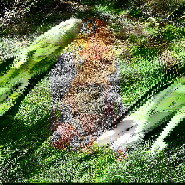 winbun.io winbun.io archive image