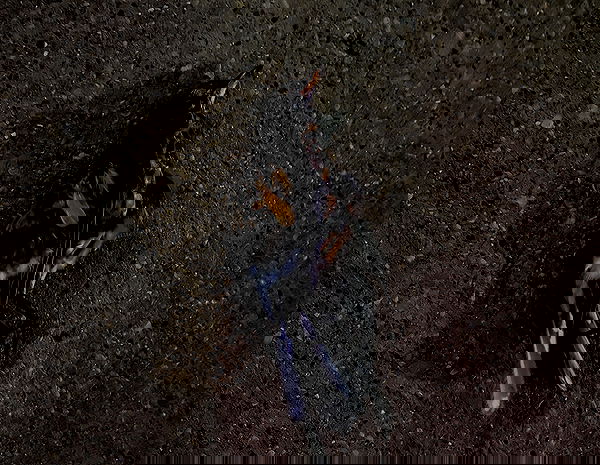 winbun.io winbun.io archive image