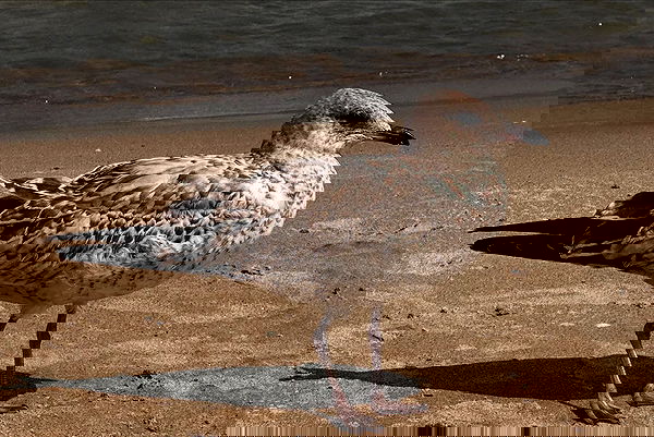 winbun.io winbun.io archive image