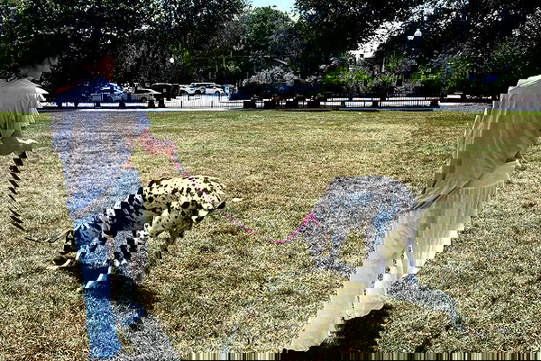 winbun.io winbun.io archive image