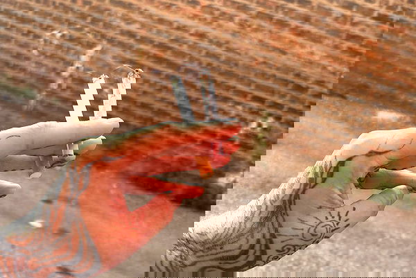 winbun.io winbun.io archive image