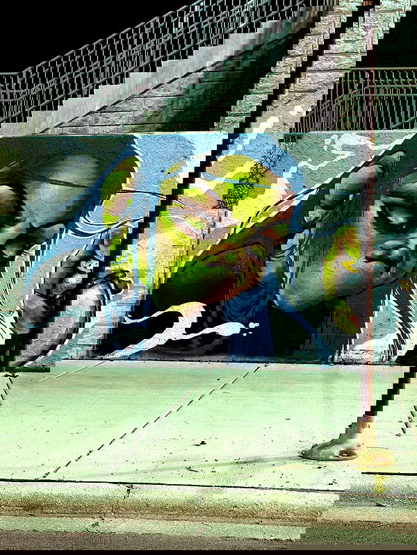 winbun.io winbun.io archive image