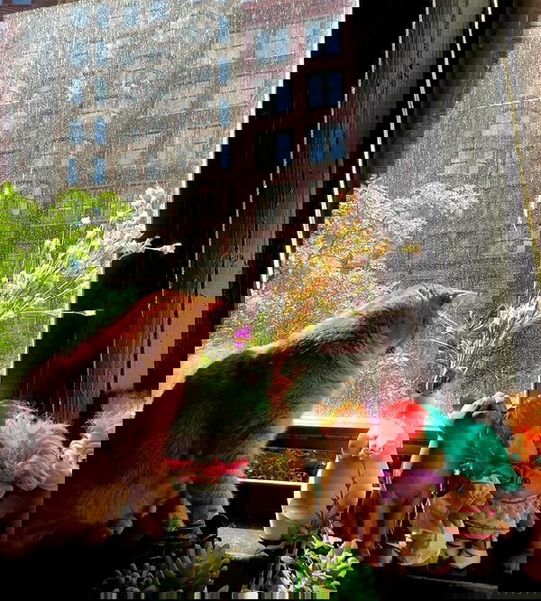 winbun.io winbun.io archive image