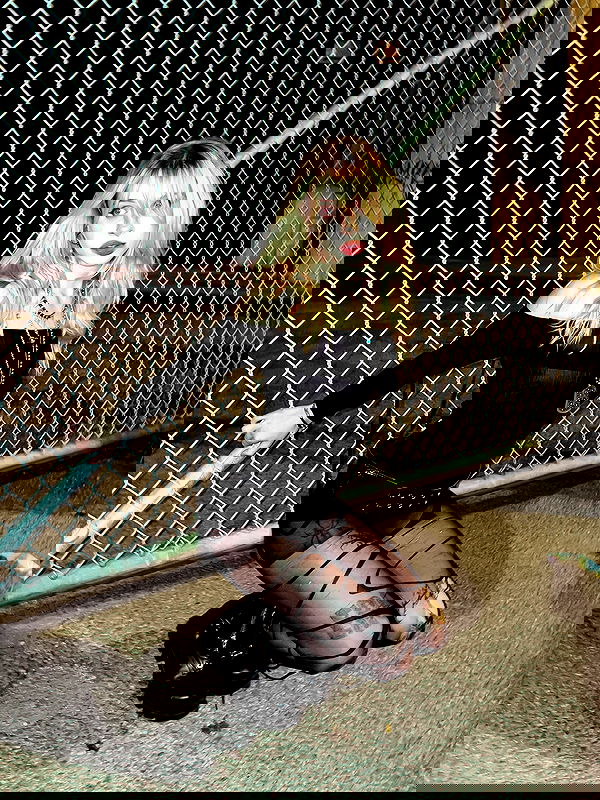 winbun.io winbun.io archive image