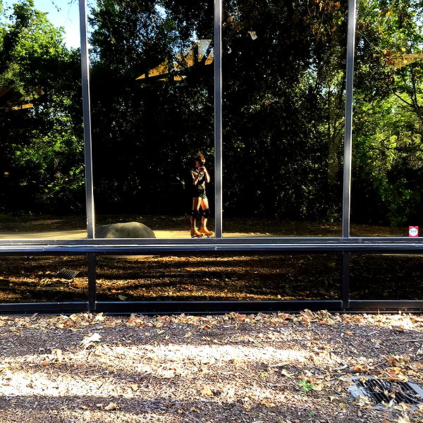 witchpixie instagram image archive image