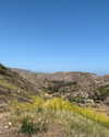 witchpixie Altpins Profile Picture