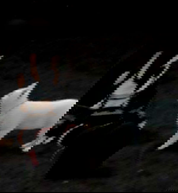 wuvkyu wuvkyu archive image