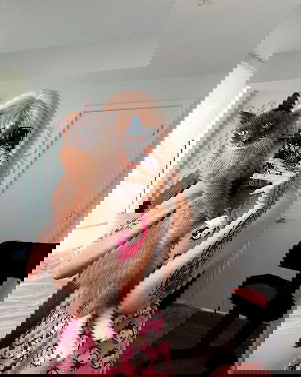 wuvkyu wuvkyu archive image