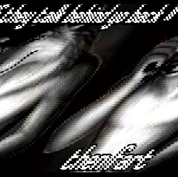 wuvkyu wuvkyu archive image