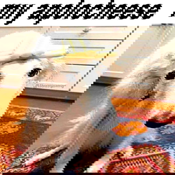 wuvkyu wuvkyu archive image