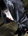 x3m_0x77_void Altpins Profile Picture