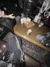 x3m_0x77_void Altpins Profile Picture