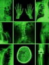 x3m_0x77_void Altpins Profile Picture