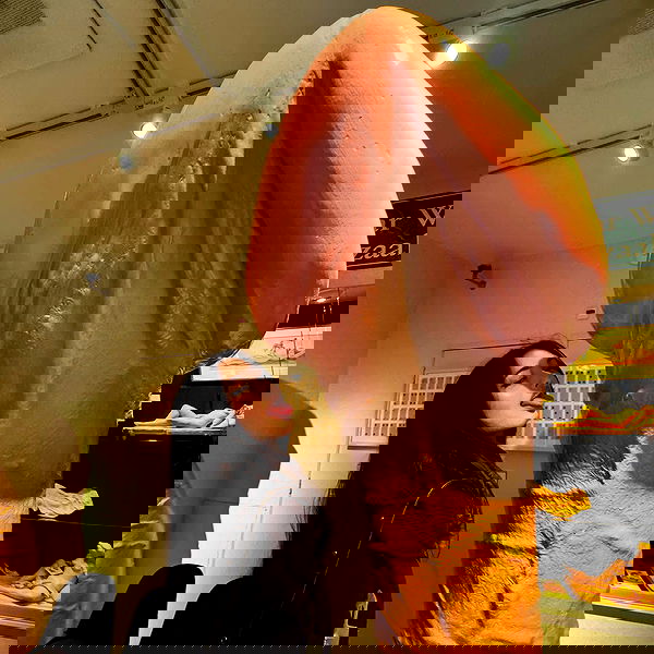 xeiyza image ~ Altpins