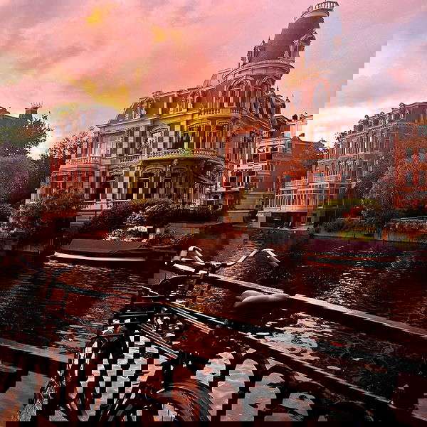 xeiyza image ~ Altpins