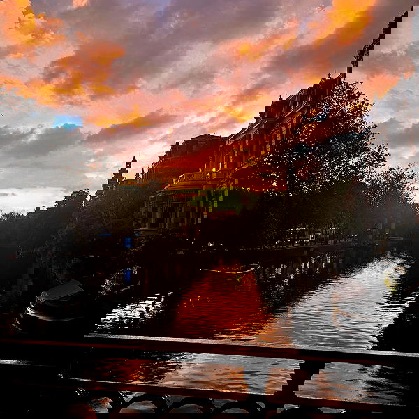 xeiyza image ~ Altpins