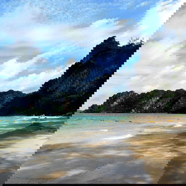 xeiyza image ~ Altpins