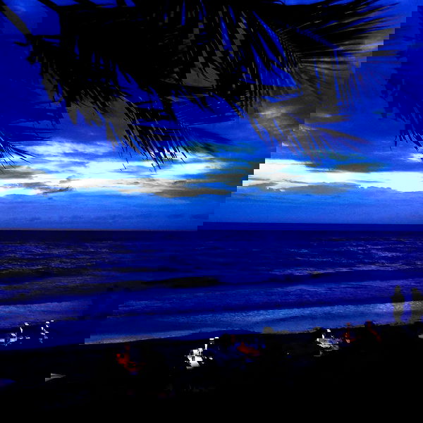 xeiyza image ~ Altpins