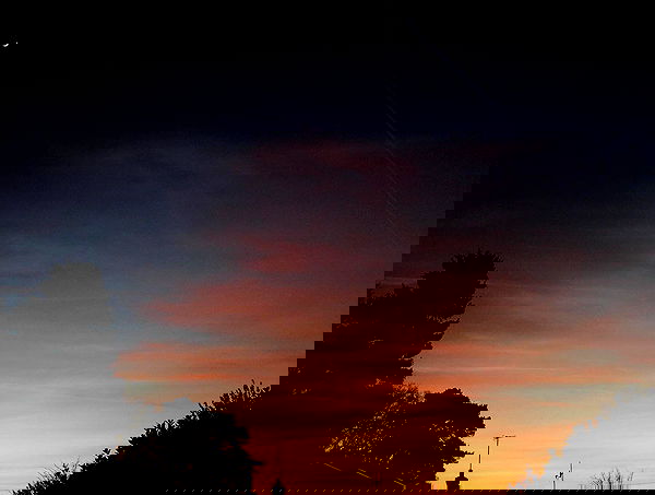 xeiyza image ~ Altpins