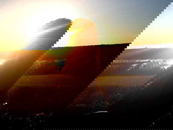 xeiyza image ~ Altpins