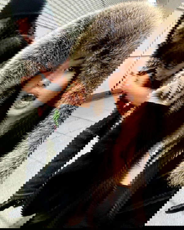 xeiyza image ~ Altpins