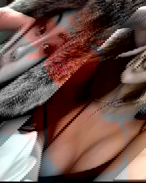 xeiyza image ~ Altpins