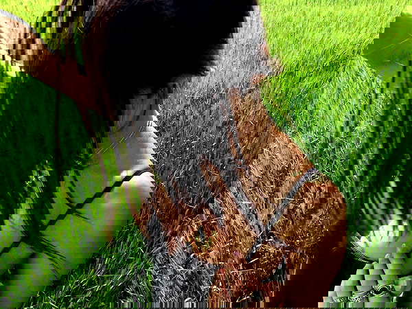 xeiyza image ~ Altpins